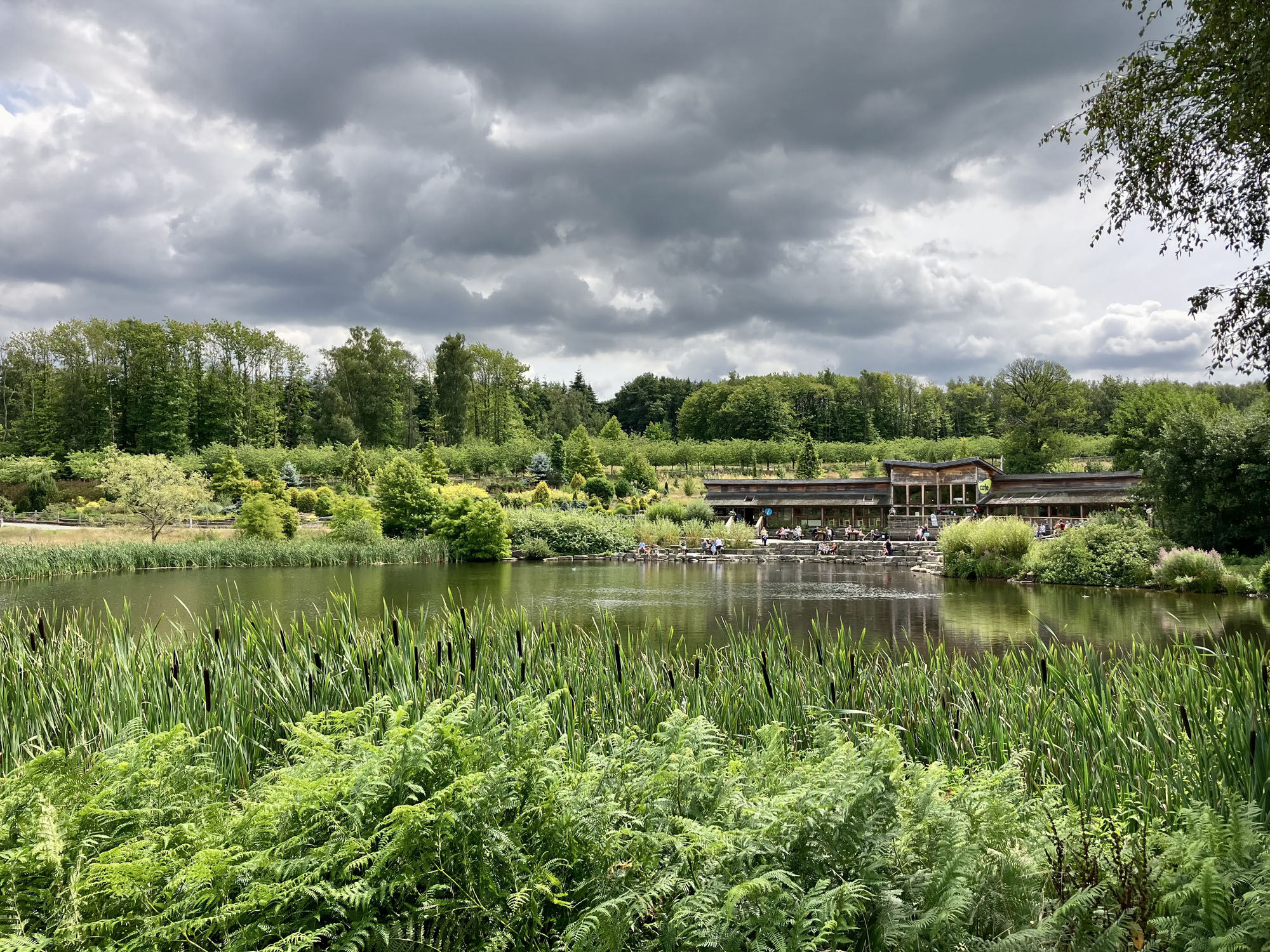 02 Bedgebury Visitor Centre Cafe Lake Summer 2023