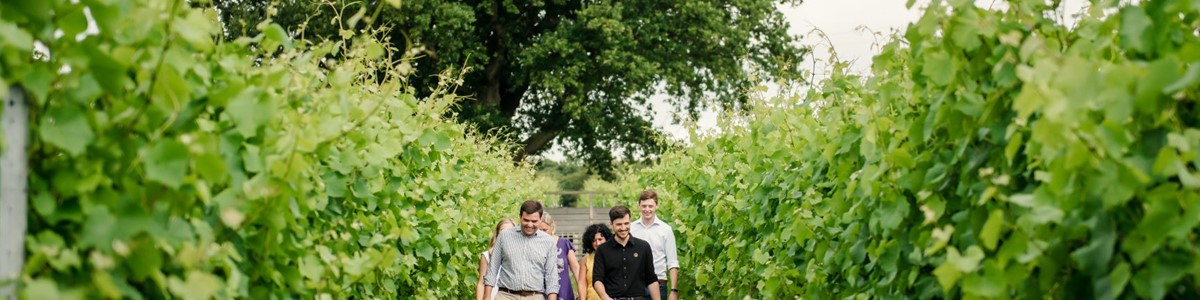 Gusbourne Tour 02